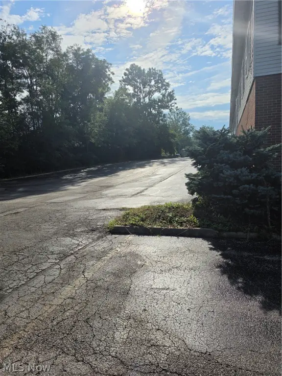 Picture 2