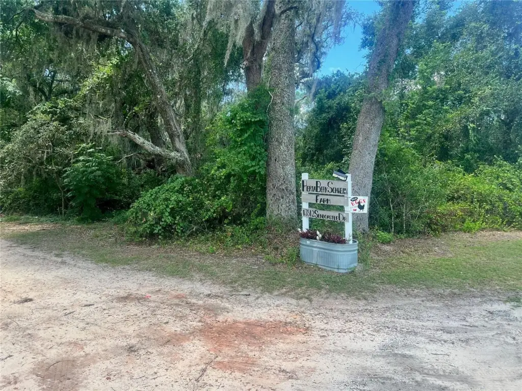 Picture 41