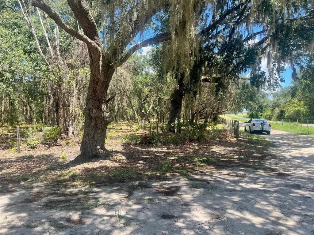 Picture 39