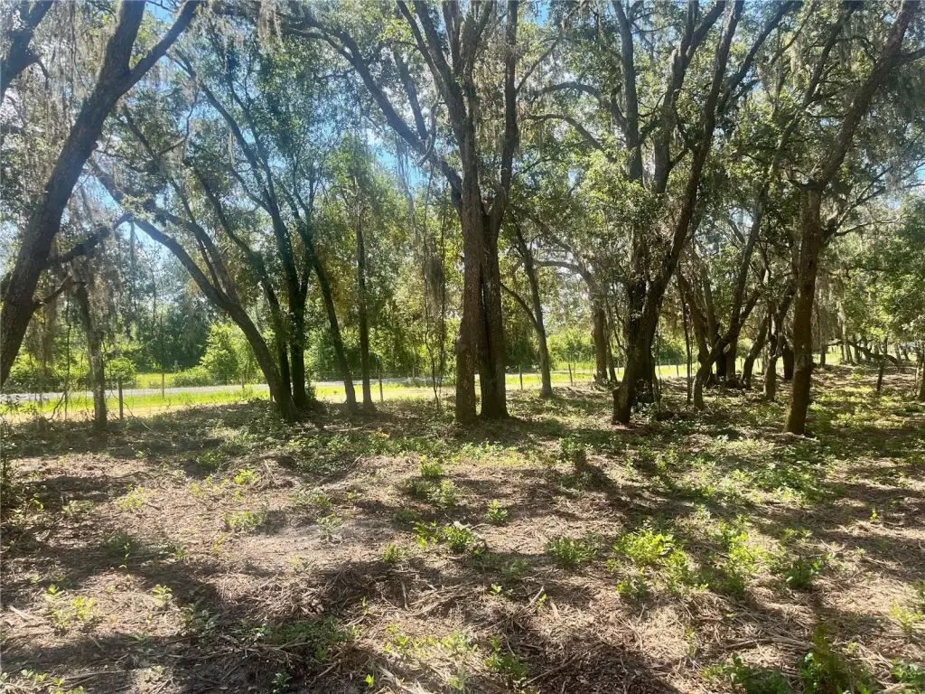 Picture 16