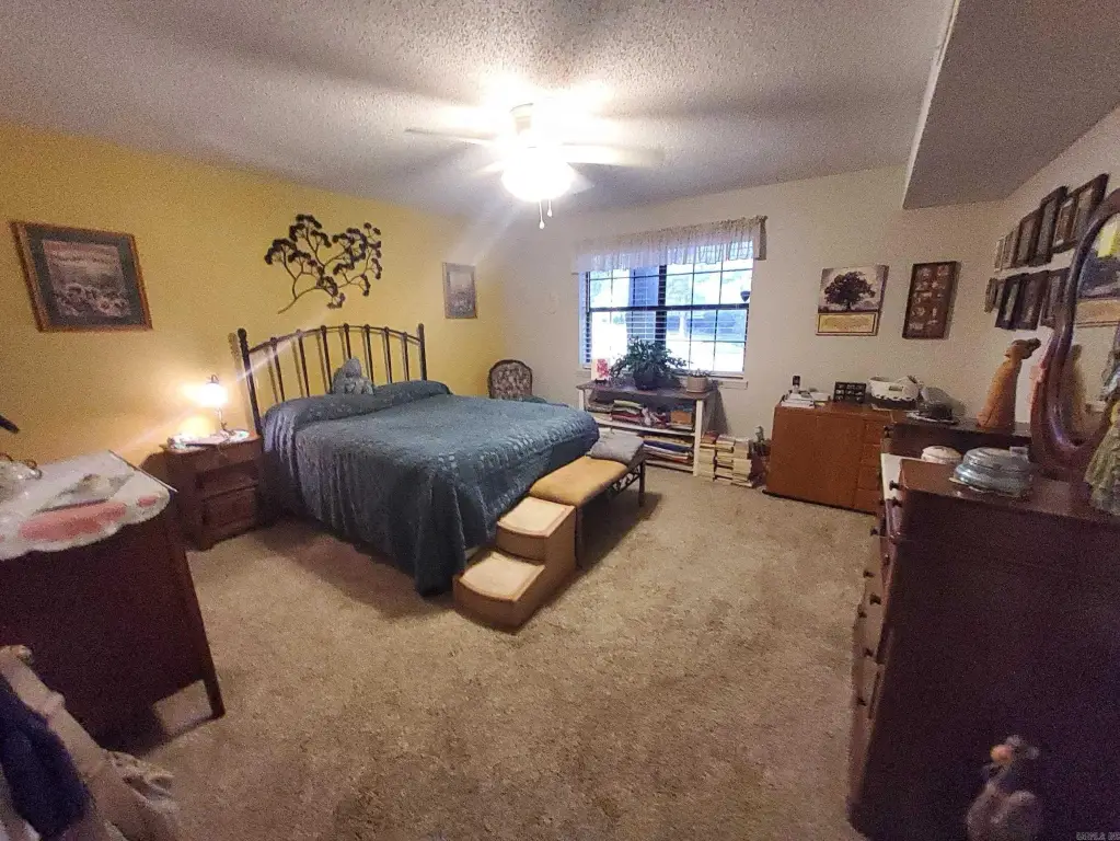 Picture 12