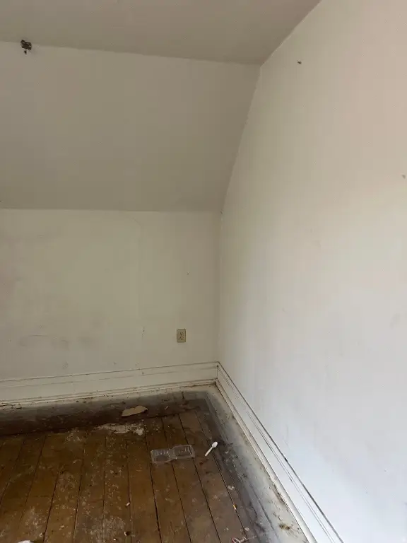 Picture 36
