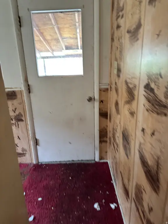 Picture 29