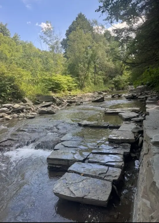 Picture 41