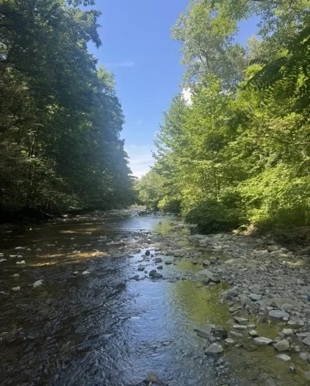 Picture 43