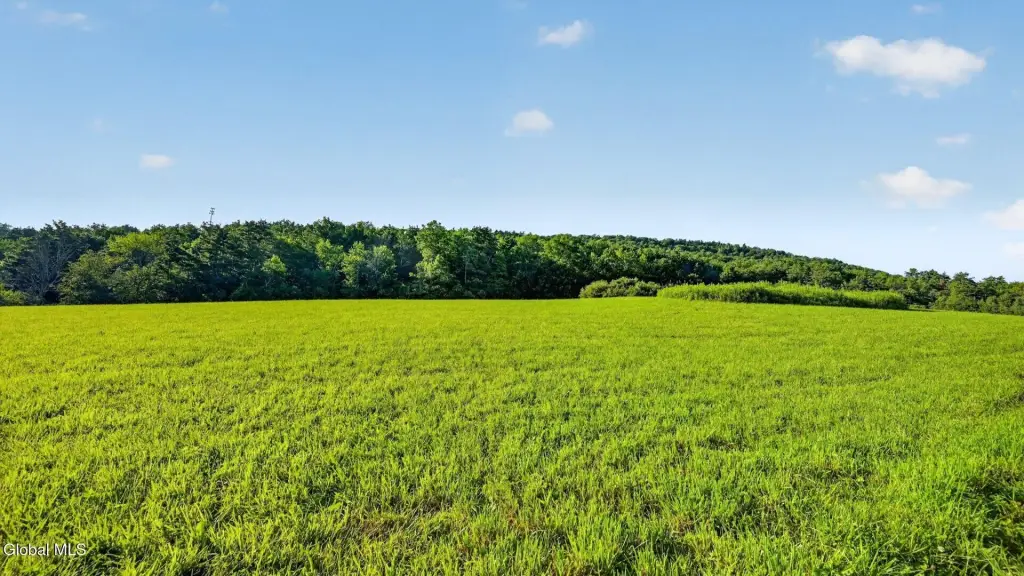 Picture 29