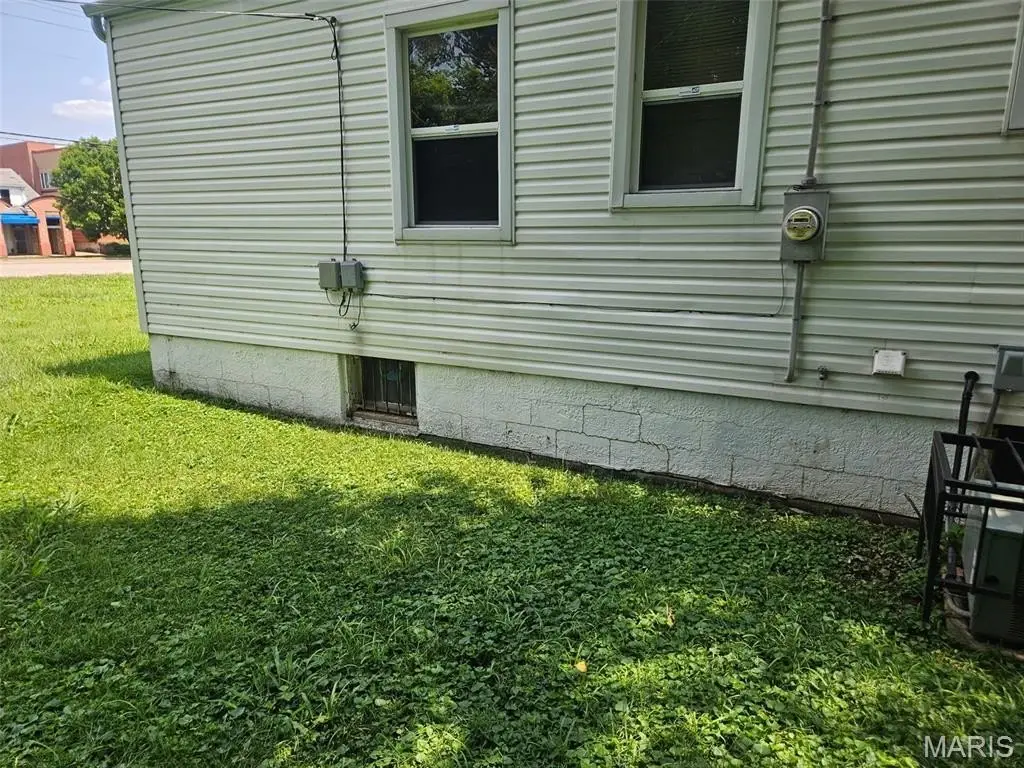 Picture 5