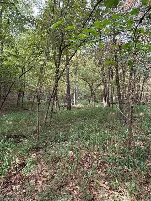 Picture 4