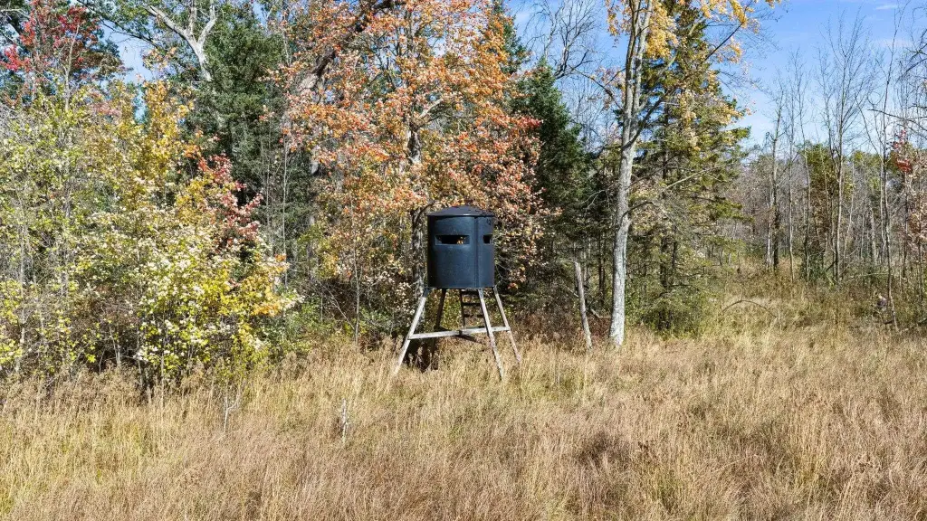 Picture 15