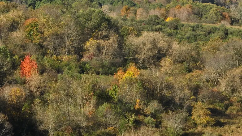 Picture 18