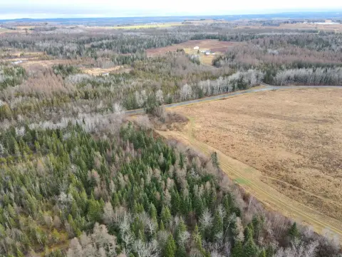 161 Acres of Hunting Land