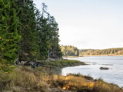 Waterfront Land on Swans Island
