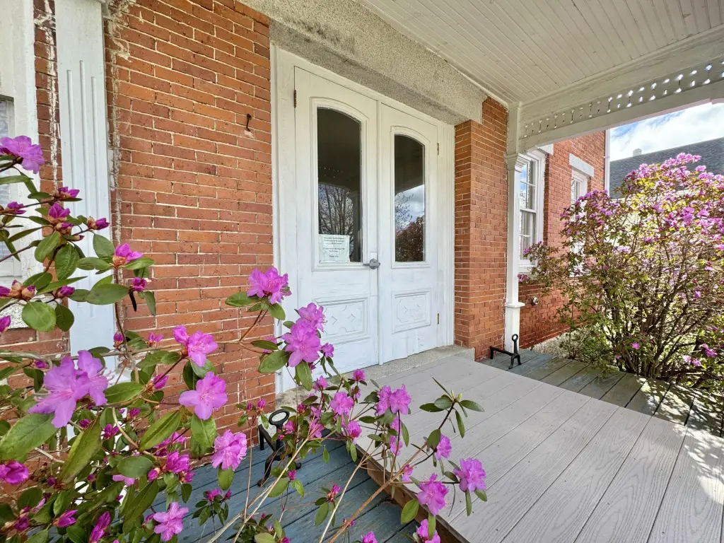 Picture 4