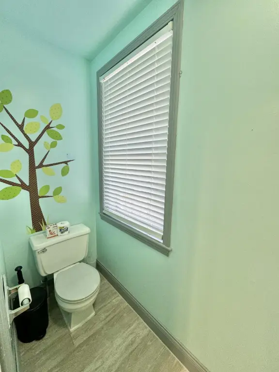 Picture 19