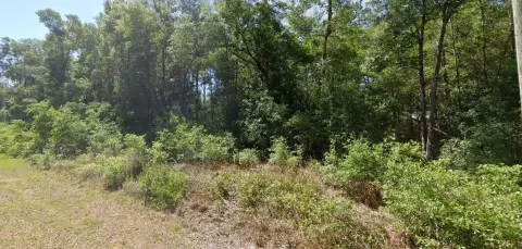 Land in Rainbow Lakes Estates