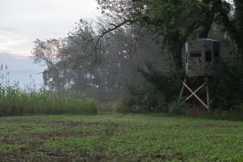 Whitetail Hunting Land