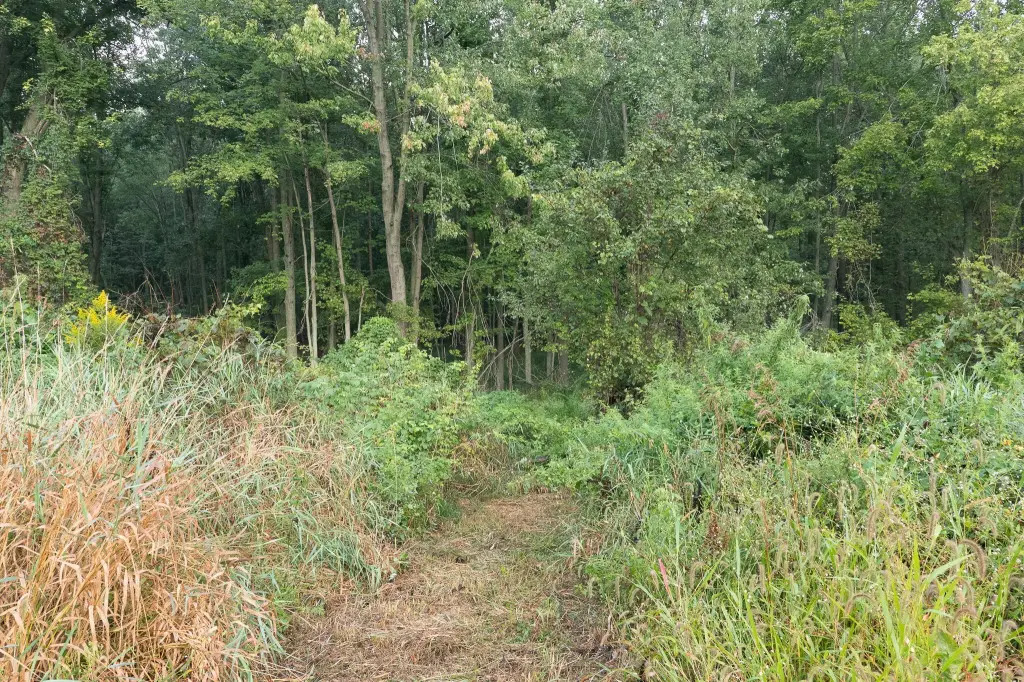 Picture 19