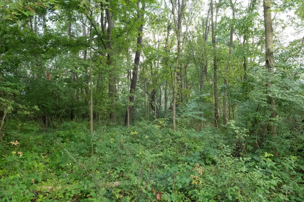 Picture 28