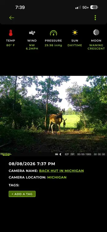 Picture 5