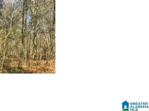 Land For Sale in ALPINE