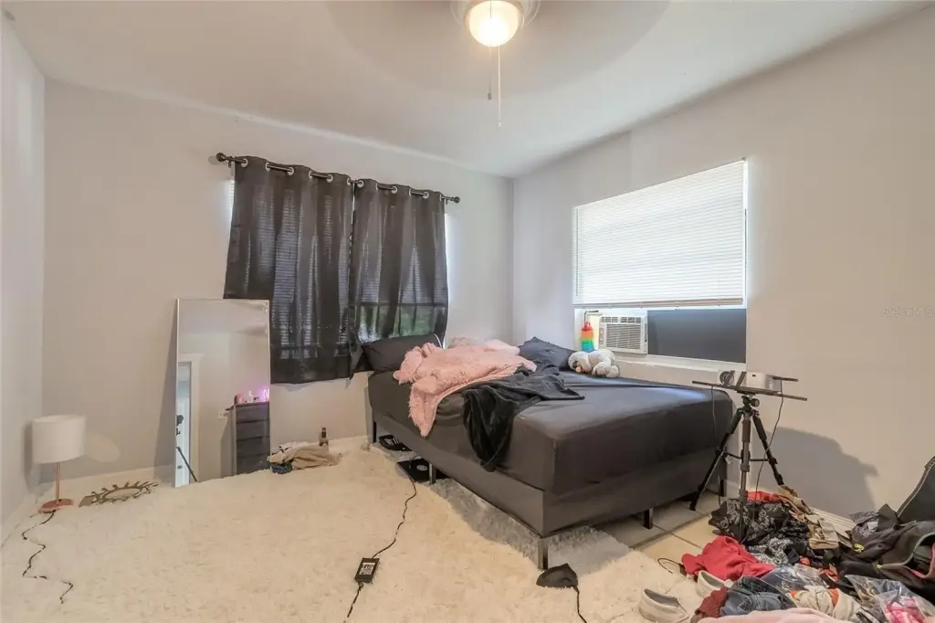Picture 21