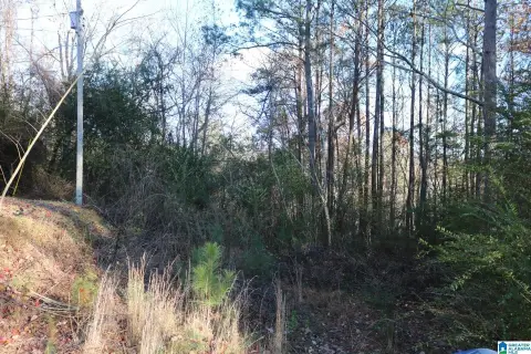 Unrestricted Acreage in Concord, Alabama