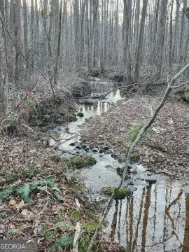 Ellijay Land with Creek Frontage
