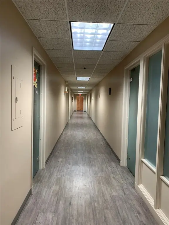 Picture 15