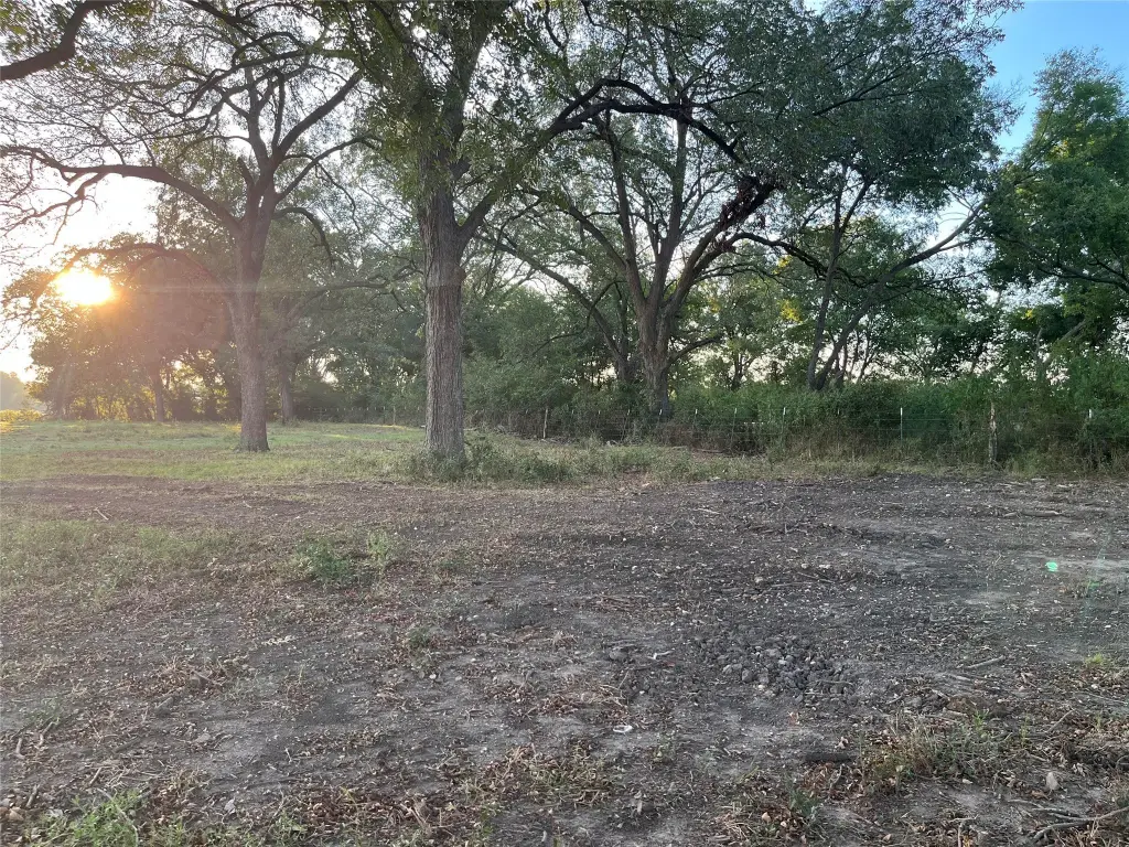 Picture 15