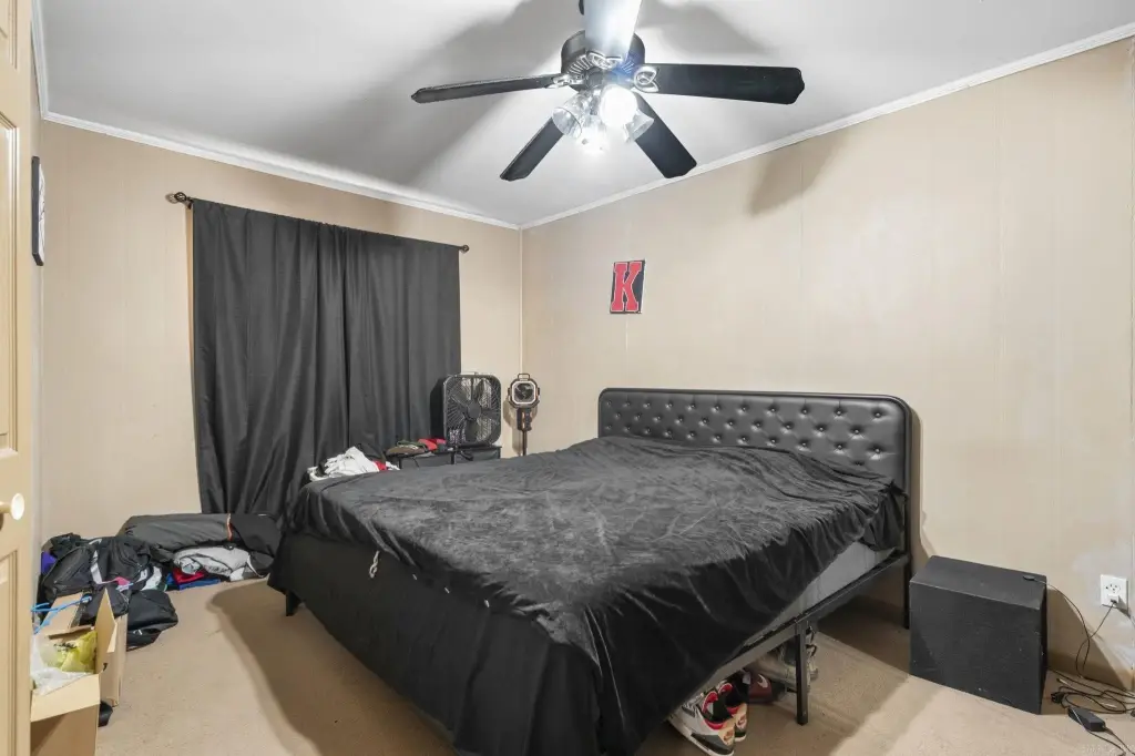 Picture 16