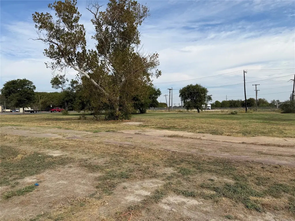 Picture 24