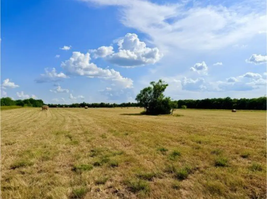Picture 16