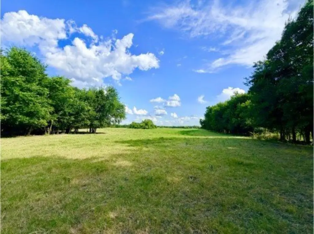 Picture 22