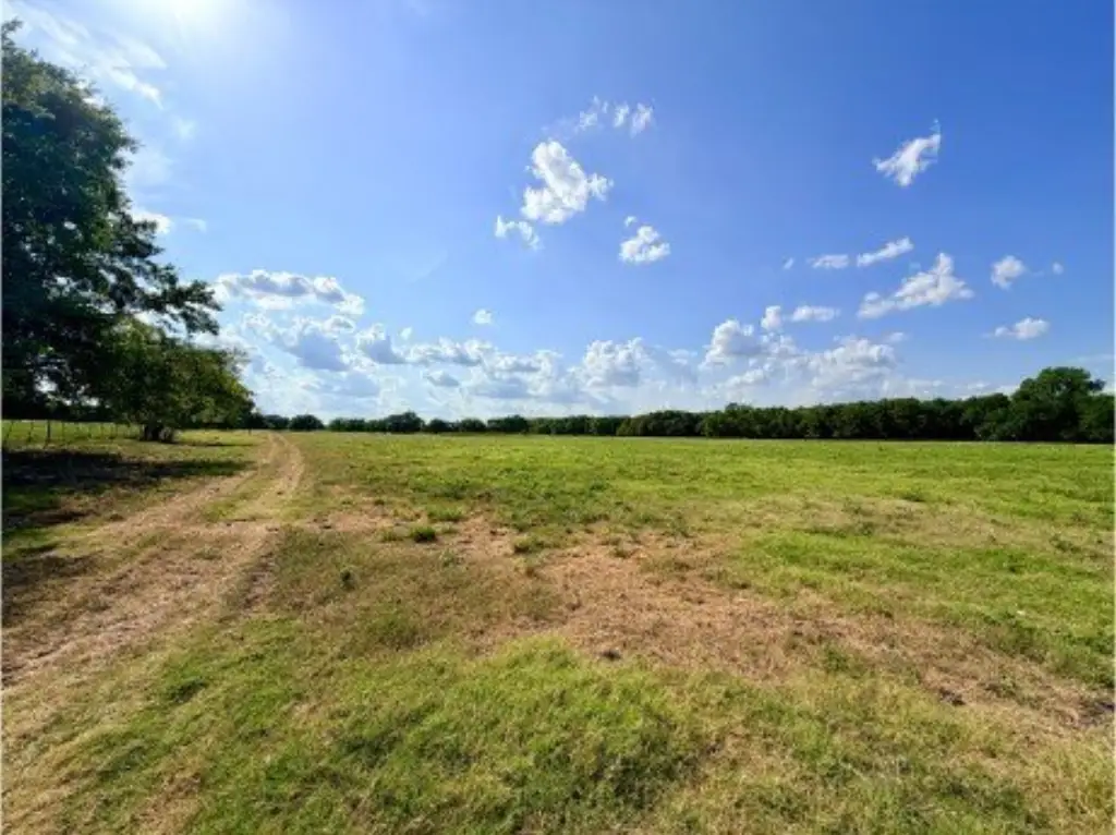 Picture 7