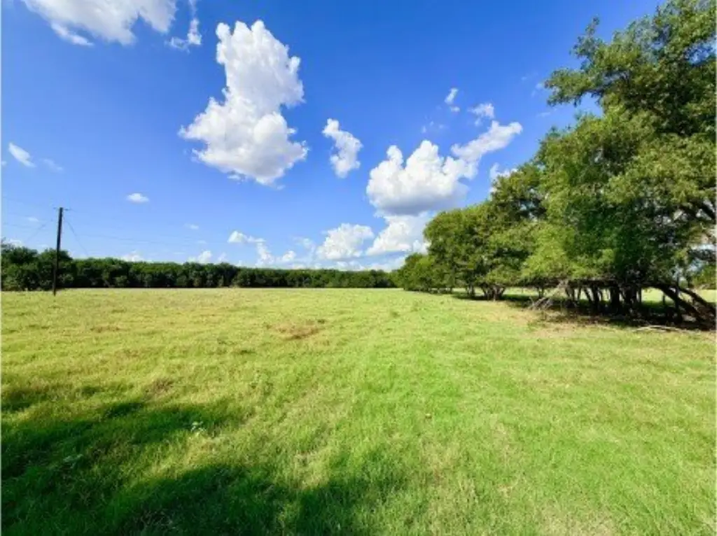 Picture 19