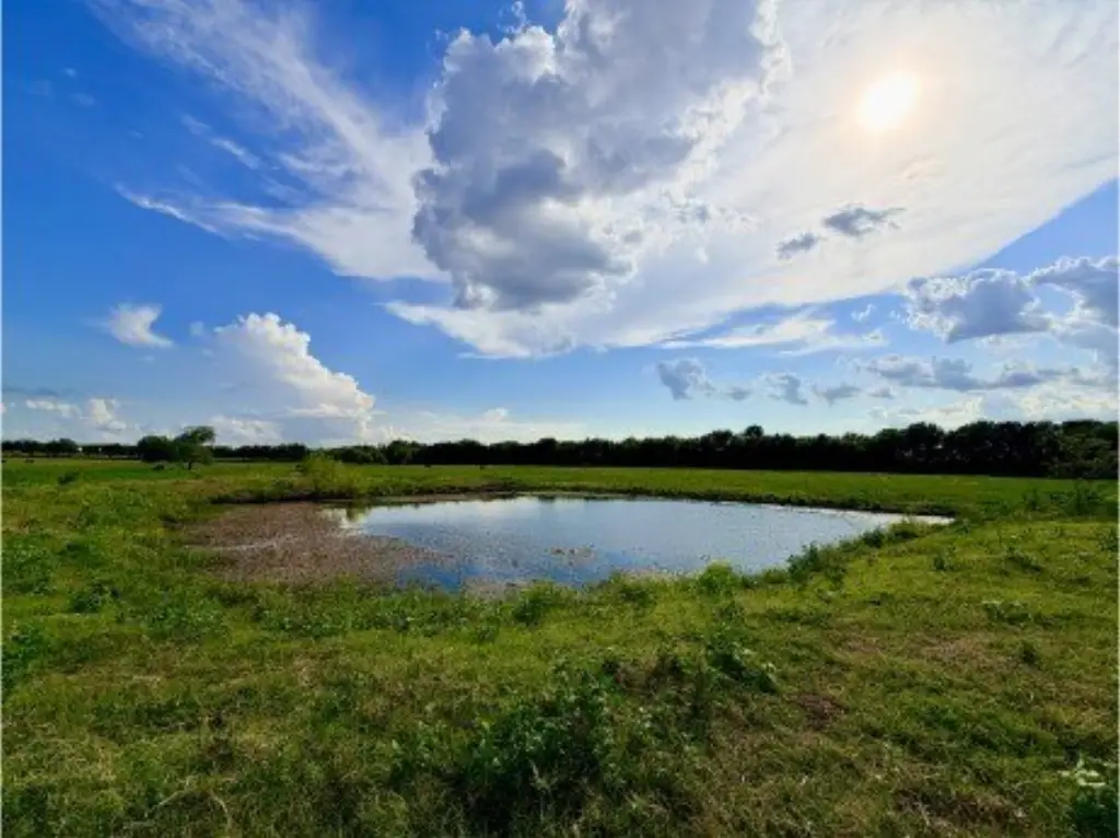 Picture 10