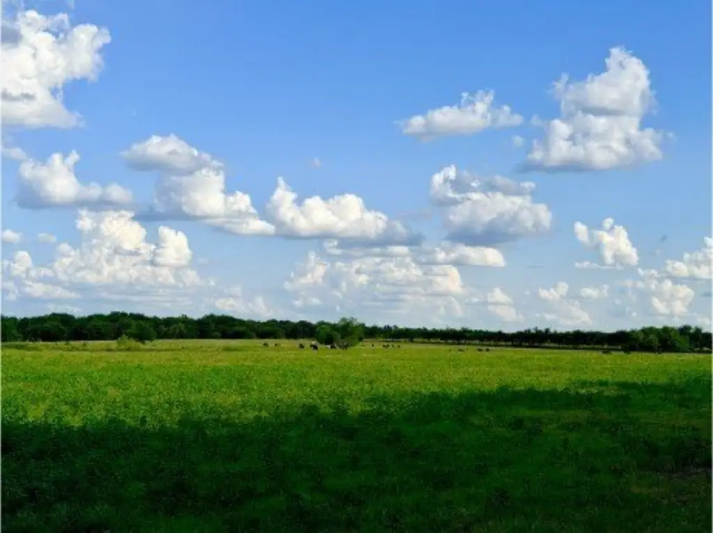Picture 23