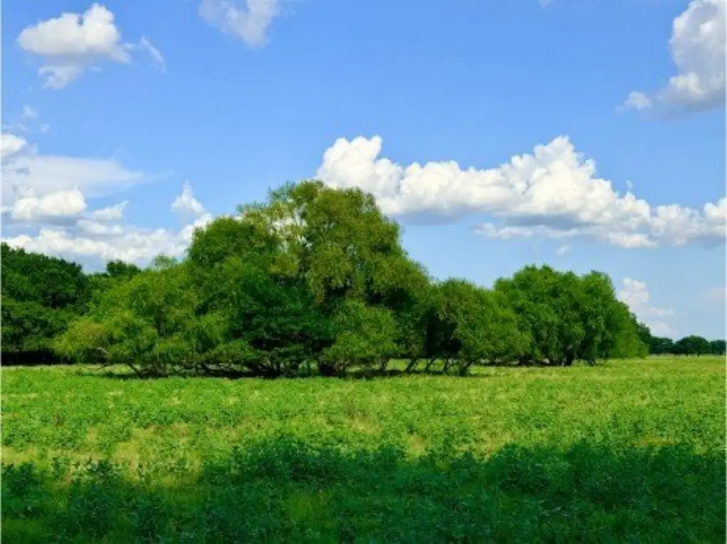 Picture 24