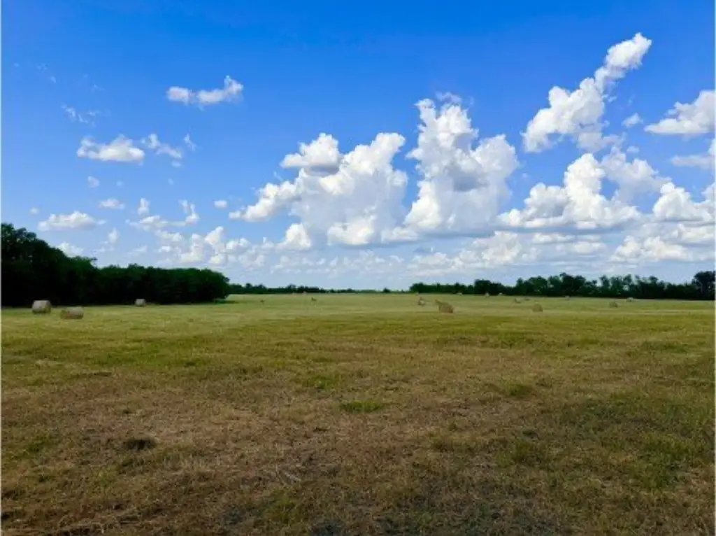 Picture 4