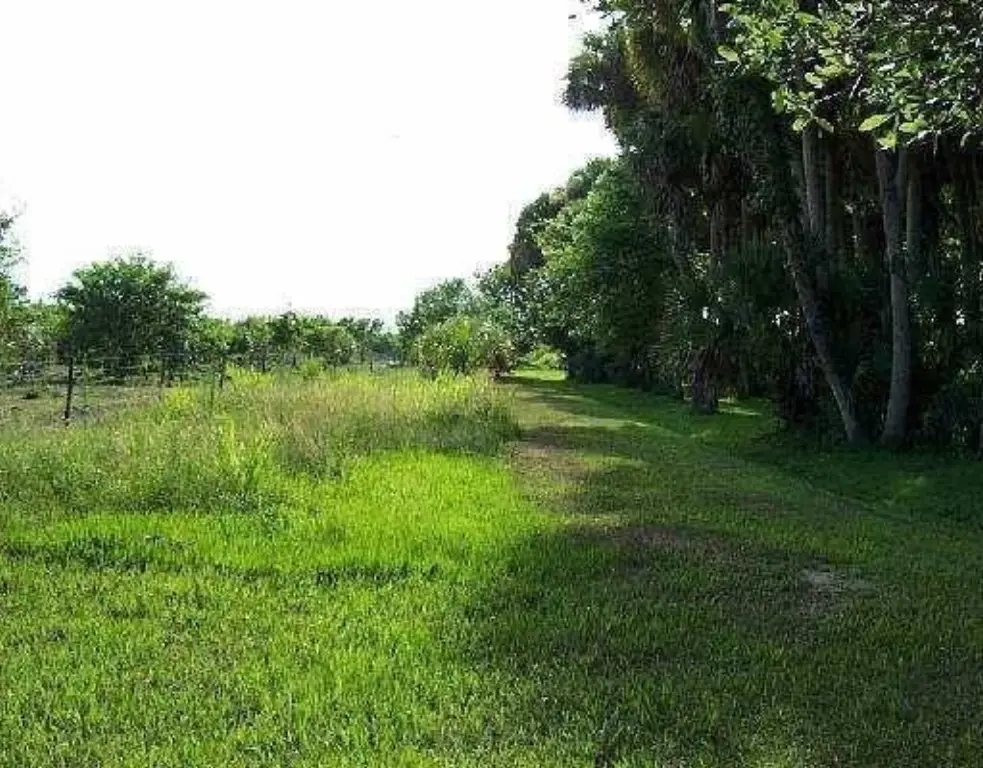 Picture 8