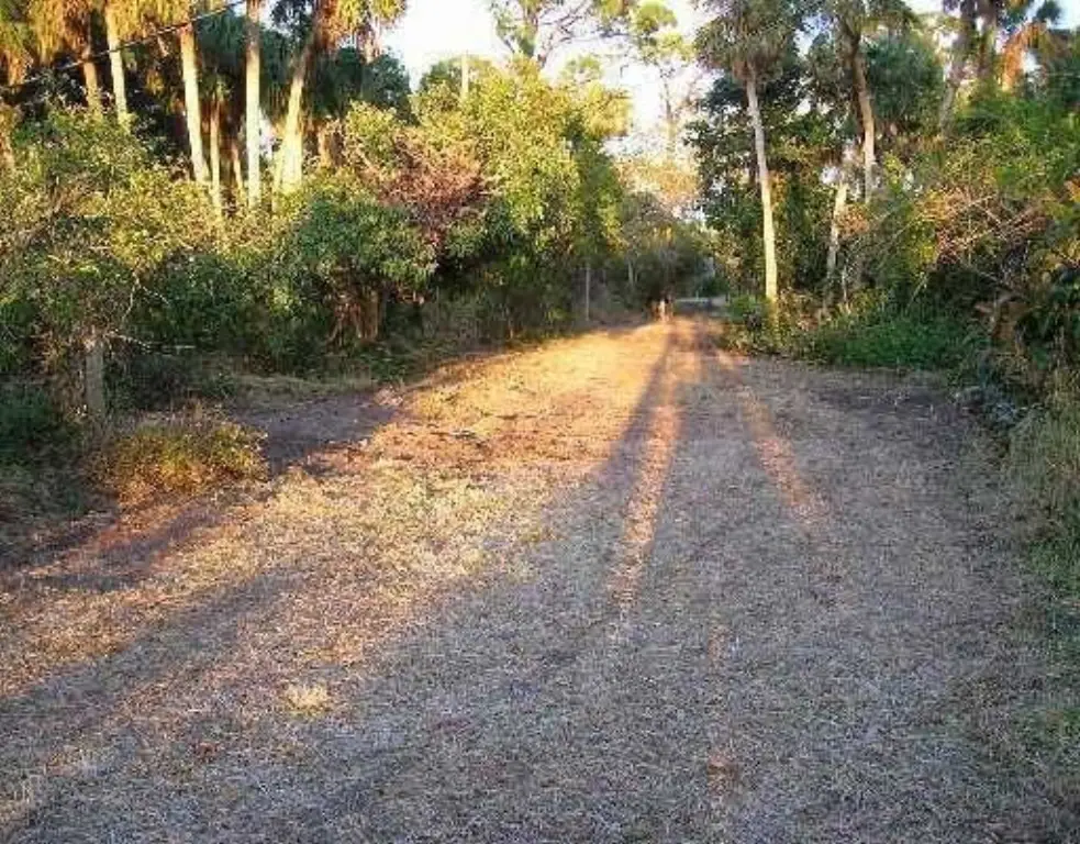 Picture 10