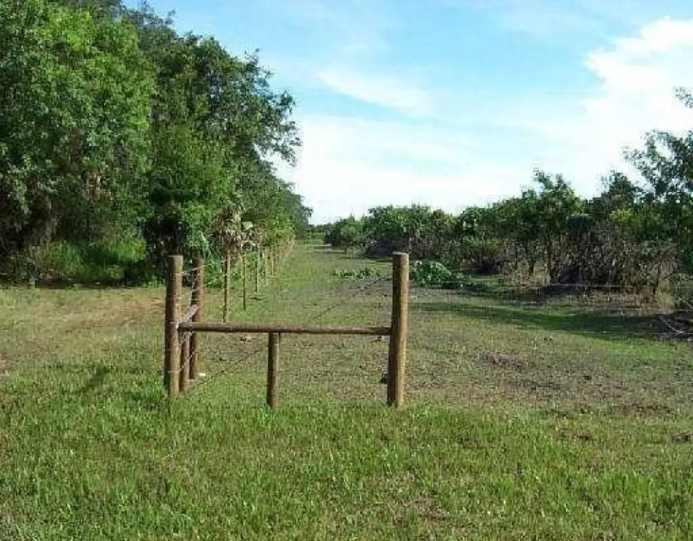 Picture 5
