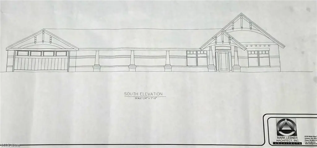 Picture 7