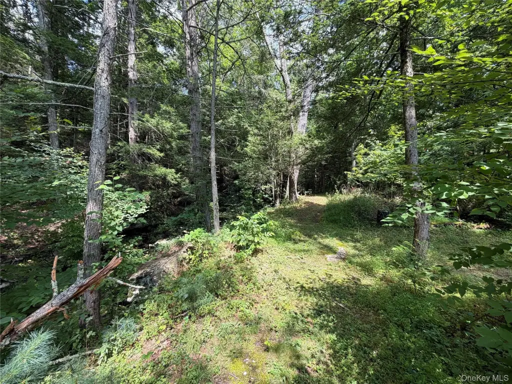 Picture 6