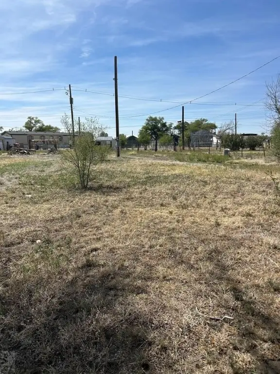 Picture 6