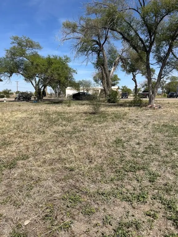 Picture 5