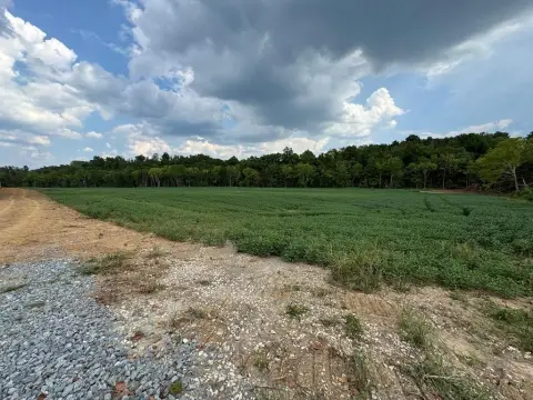 Hillsboro, KY Farm Land