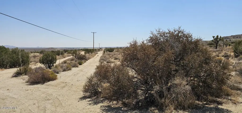 Picture 11
