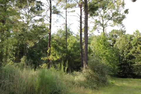 Waterfront Acreage Lot on Lake