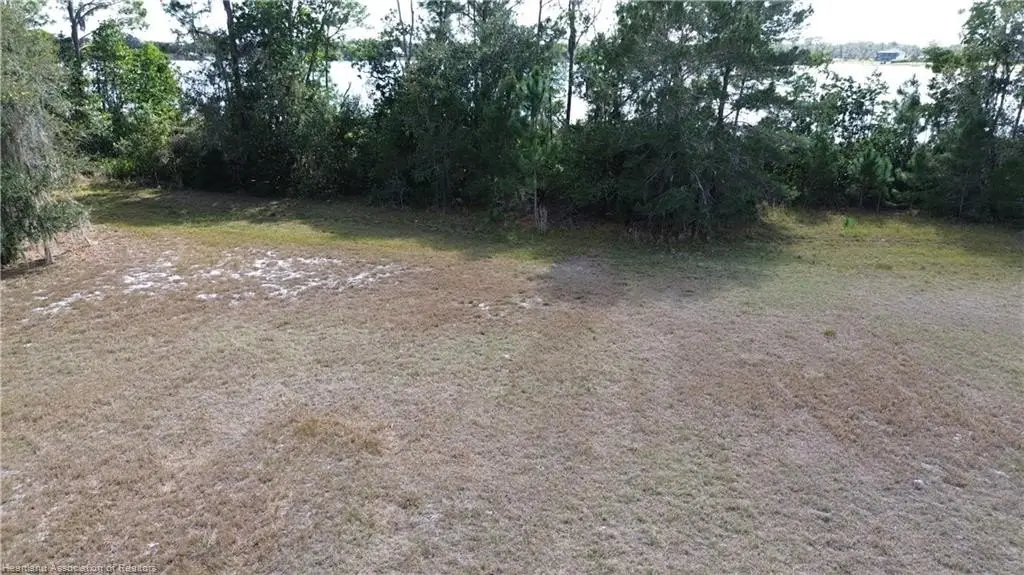 Picture 5